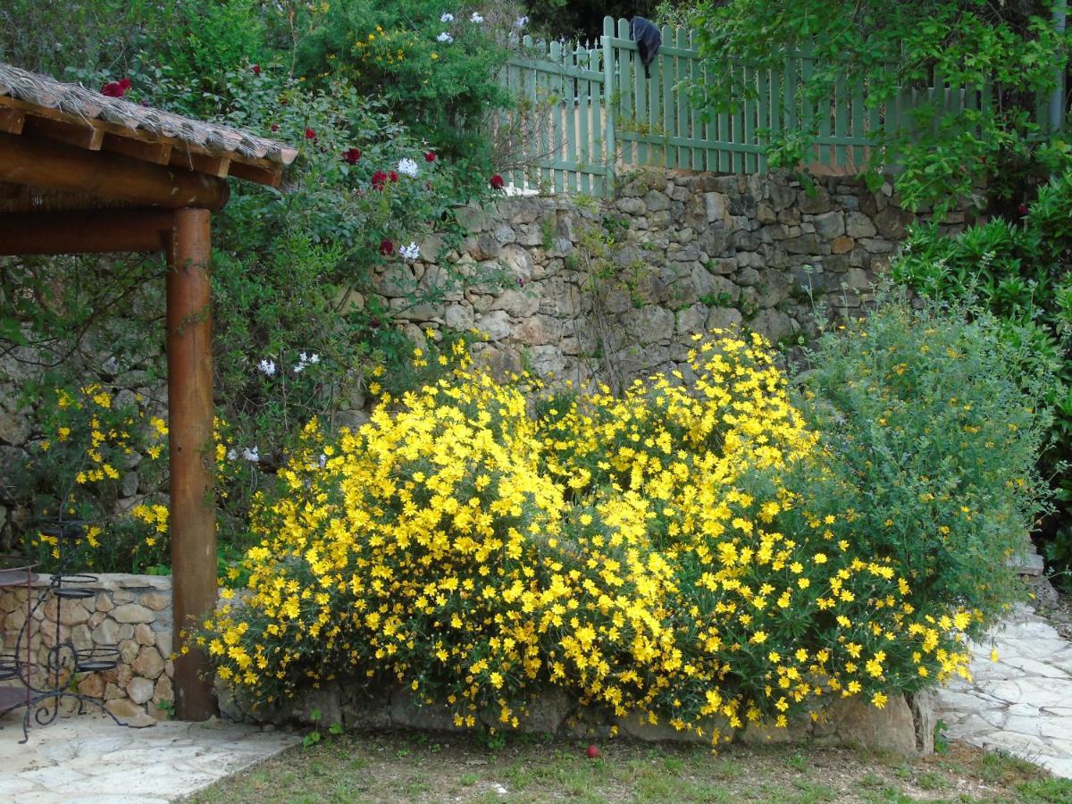 Mas Des Citronniers Bed & Breakfast Le Tignet Екстериор снимка