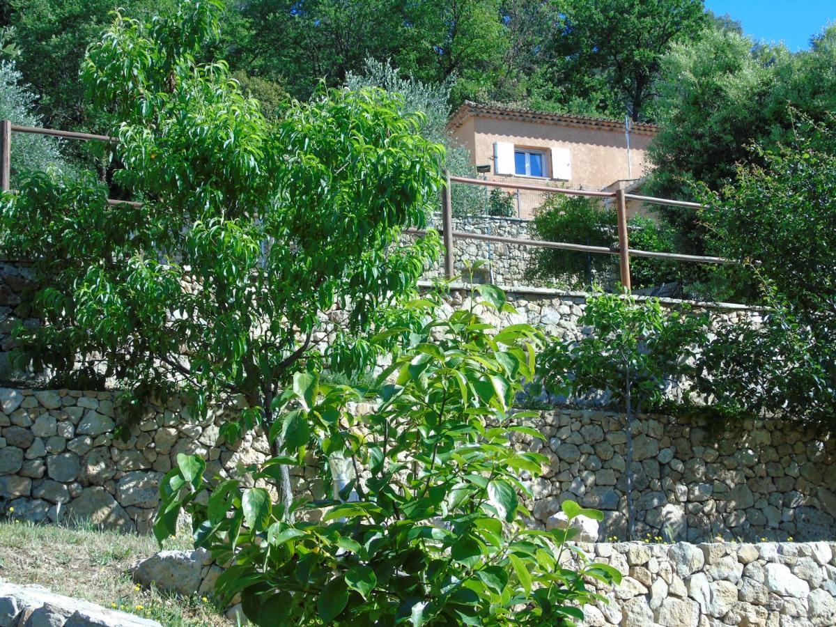 Mas Des Citronniers Bed & Breakfast Le Tignet Екстериор снимка