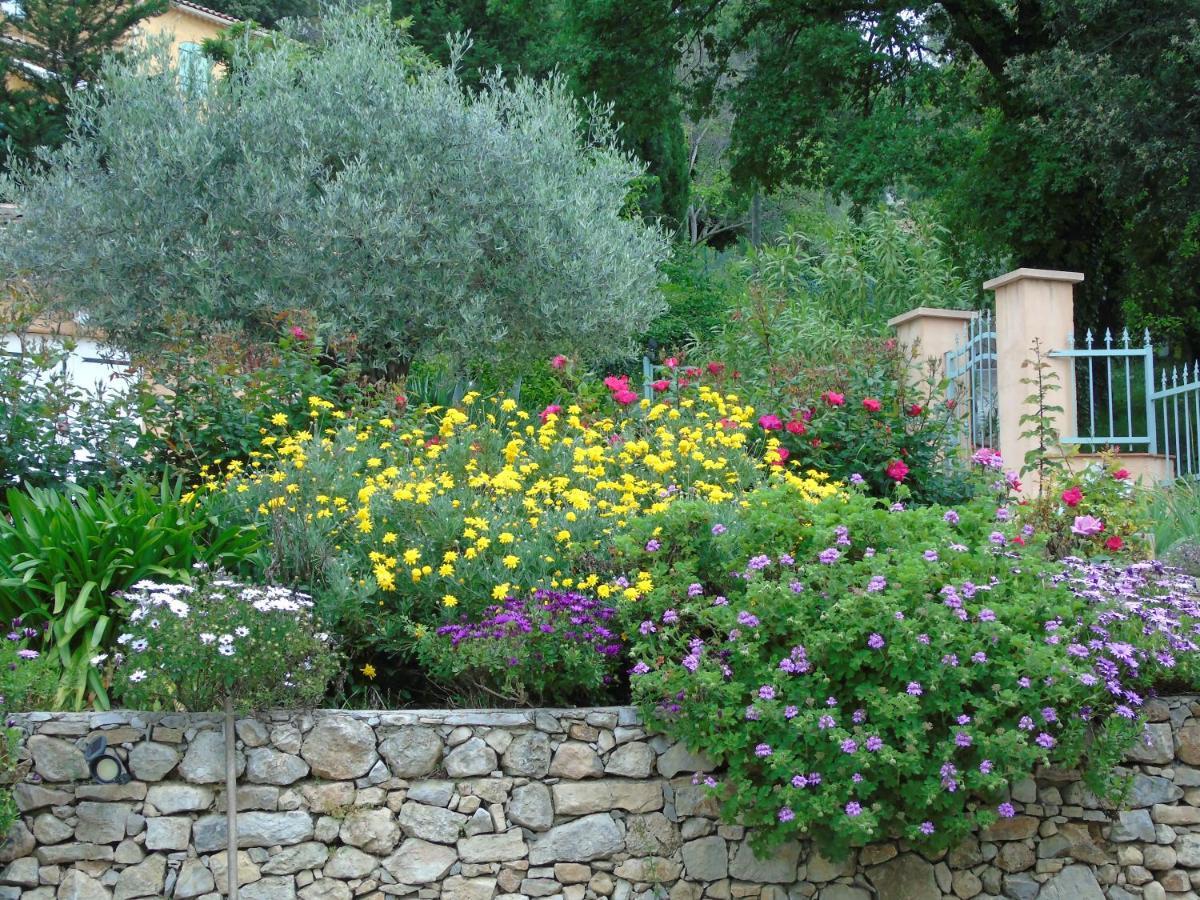 Mas Des Citronniers Bed & Breakfast Le Tignet Екстериор снимка
